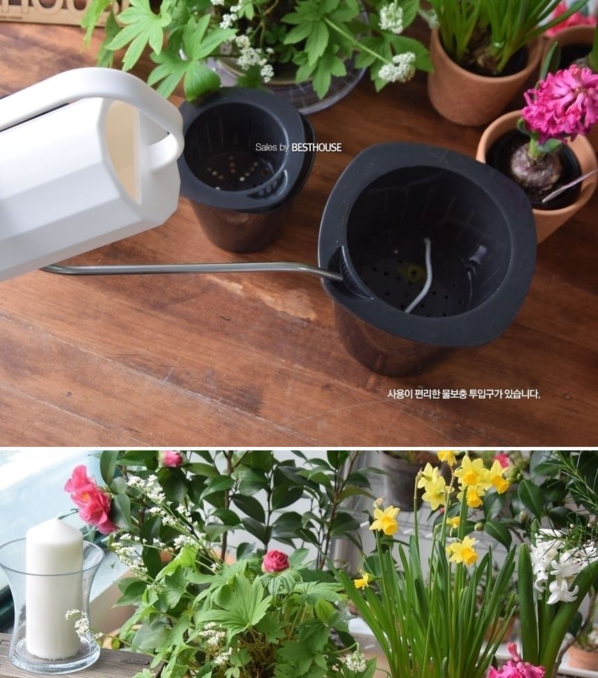반투명 블랙 저면관수 플라스틱 화분 D18 18x18cm/화분/플라스틱화분/미니화분/원예용화분/가정용화분/급수