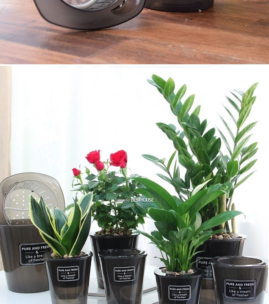 반투명 블랙 저면관수 플라스틱 화분 D18 18x18cm/화분/플라스틱화분/미니화분/원예용화분/가정용화분/급수