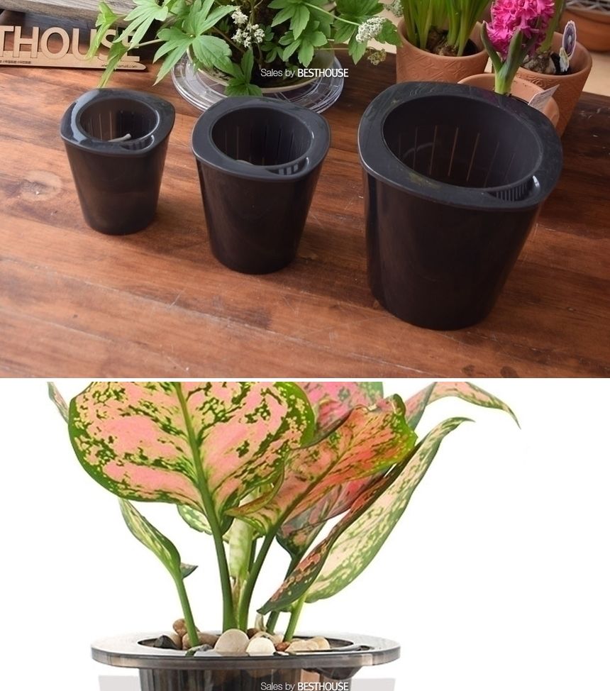 반투명 블랙 저면관수 플라스틱 화분 D18 18x18cm/화분/플라스틱화분/미니화분/원예용화분/가정용화분/급수