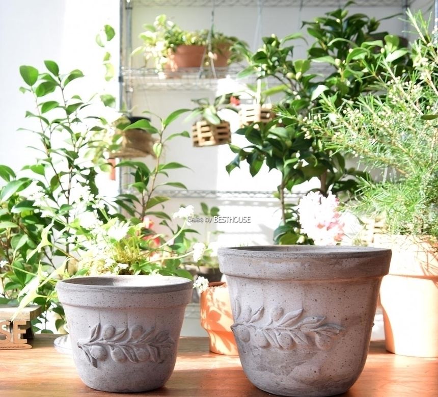 이탈리아 명품 수제토분LL (올리브) 24x20cm 그레이/화분/흙화분/토분/예쁜화분/디자인화분/인테리어화분/
