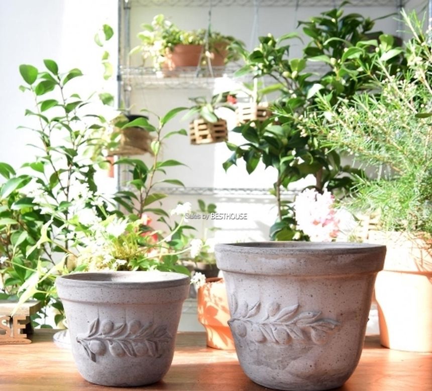 이탈리아 명품 수제토분LL (올리브) 24x20cm 그레이/화분/흙화분/토분/예쁜화분/디자인화분/인테리어화분/
