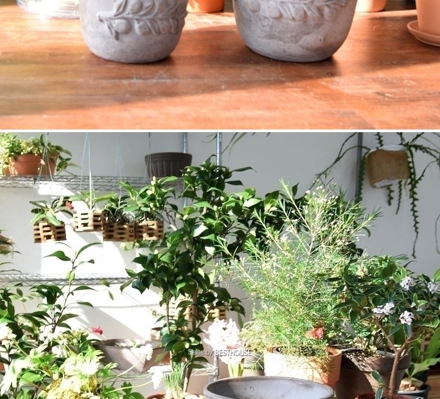 이탈리아 명품 수제토분LL (올리브) 24x20cm 그레이/화분/흙화분/토분/예쁜화분/디자인화분/인테리어화분/