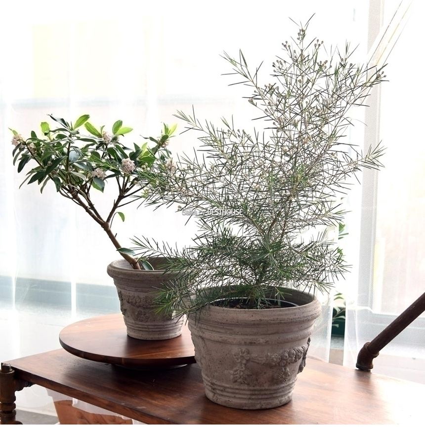 이탈리아 명품 수제토분VLF ET (그레이) D20 20x16cm/화분/흙화분/토분/예쁜화분/디자인화분/인테리어화분/