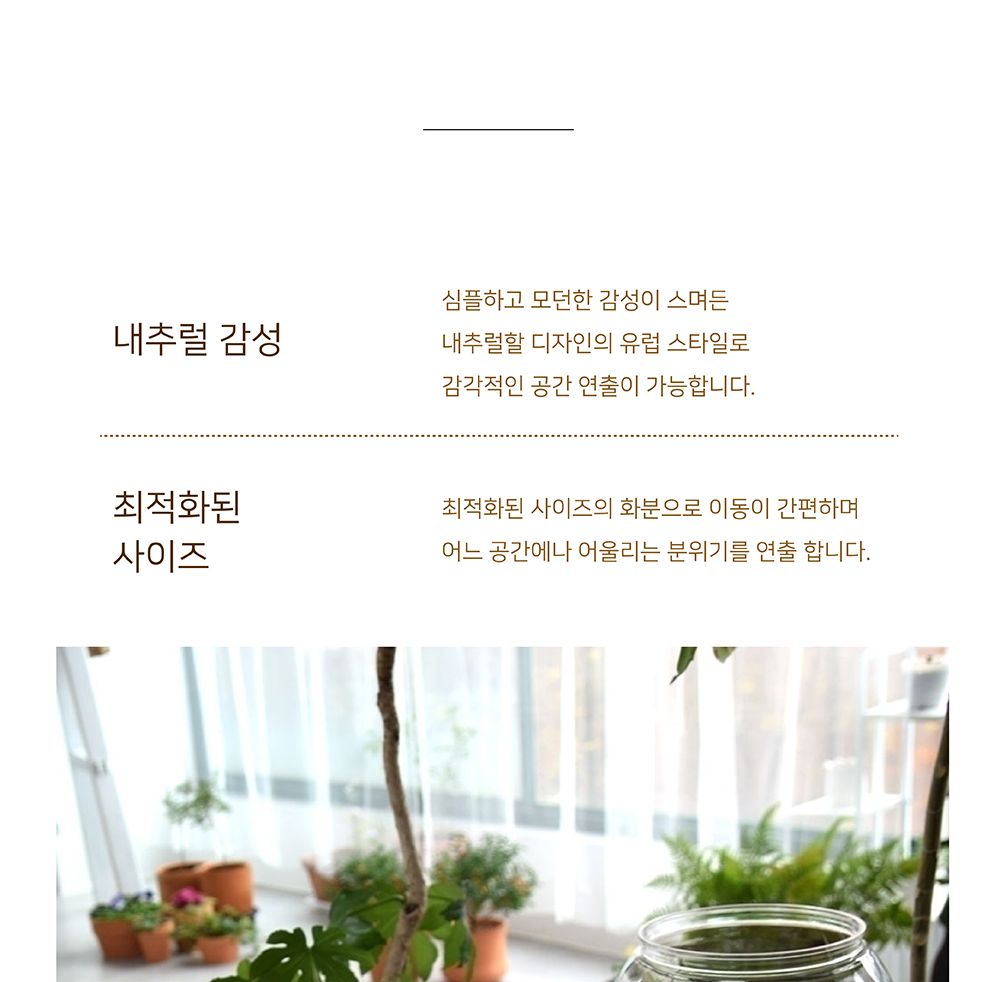 (BH-110A 11x15cm) 수경재배용 고투명 BH 플라스틱 화분(매쉬포트포함)/화분/유리화분/수경재배/수경재배화