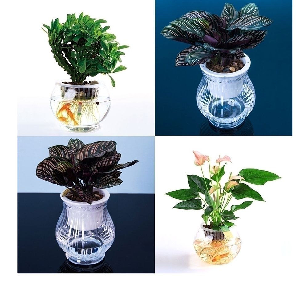 (BH-110A 11x15cm) 수경재배용 고투명 BH 플라스틱 화분(매쉬포트포함)/화분/유리화분/수경재배/수경재배화