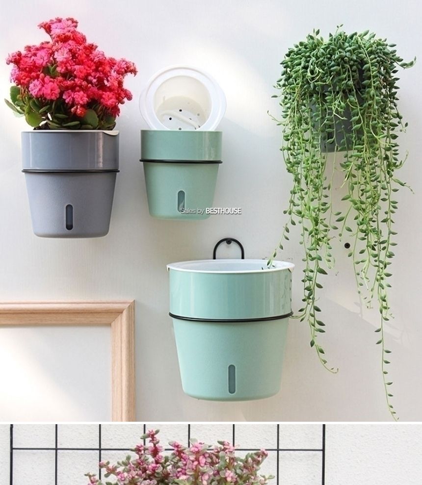 (D11 11x12cm 그레이) 철제벽걸이 저면관수 플라스틱 화분/화분/정원용품/홈가드닝용품/가드닝용품/가정용