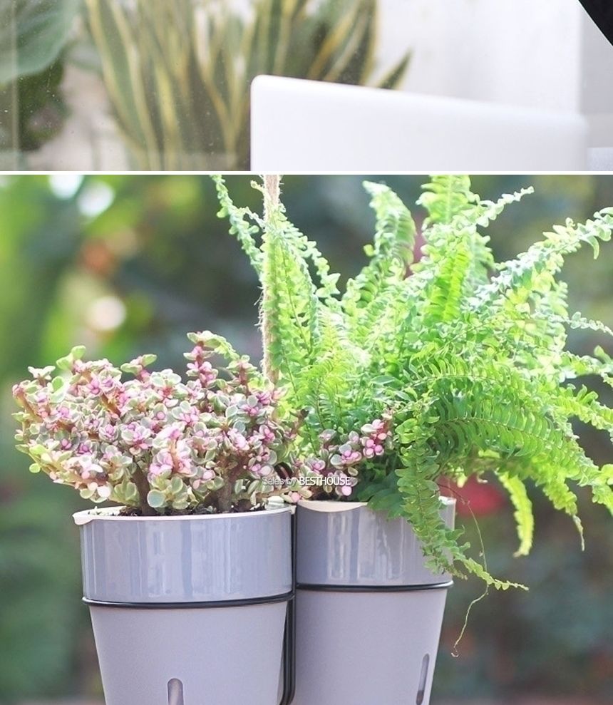 (D11 11x12cm 그레이) 철제벽걸이 저면관수 플라스틱 화분/화분/정원용품/홈가드닝용품/가드닝용품/가정용