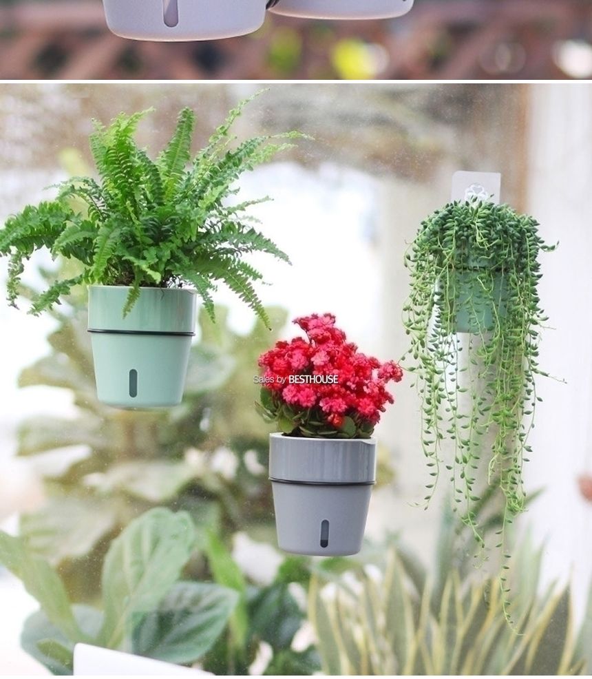 (D11 11x12cm 그레이) 철제벽걸이 저면관수 플라스틱 화분/화분/정원용품/홈가드닝용품/가드닝용품/가정용