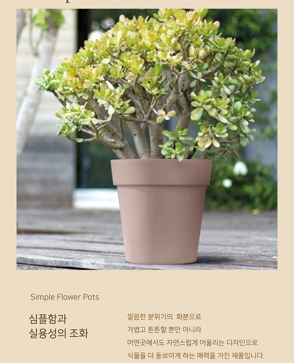 (물구멍X-브라운) 이탈리아 니콜리 원형 ARKE PE화분.R3942 42x40cm/화분/정원용품/홈가드닝용품/가드닝용