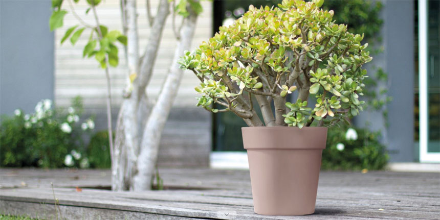 (물구멍타공(단순변심불가)-브라운) 이탈리아 니콜리 원형 ARKE PE화분.R3926 26x26cm/화분/정원용품/홈가