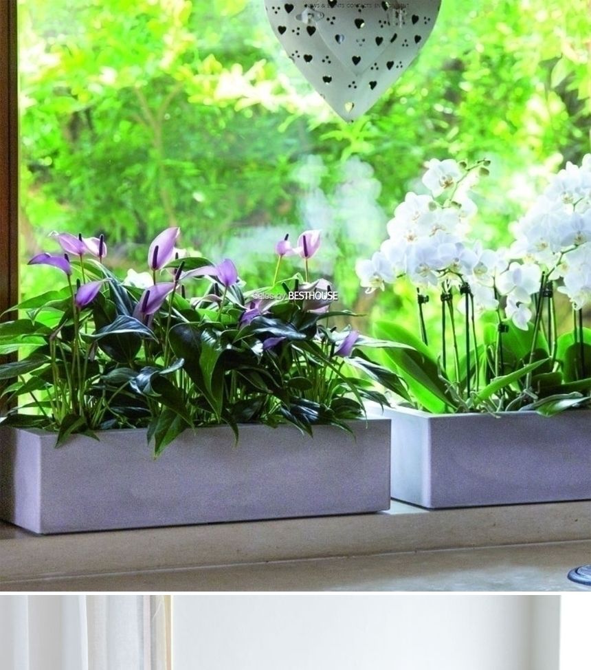 (물구멍타공(단순변심불가)-화이트) 이탈리아 니콜리 옆이넓은 직사각 PE화분.R4645 45x20x12cm/화분/정원