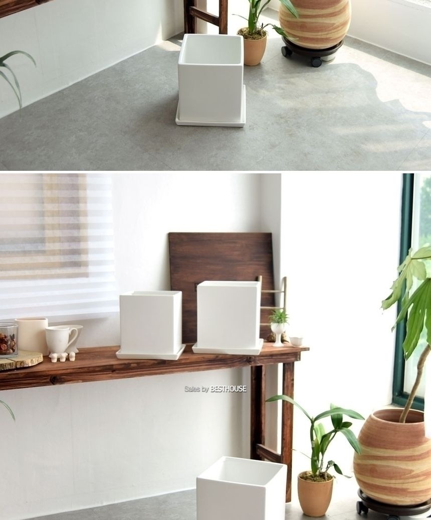 모던 도기화분 화이트 무광 정사각 D25 25x25x28cm/화분/정원용품/홈가드닝용품/가드닝용품/가정용화분/식
