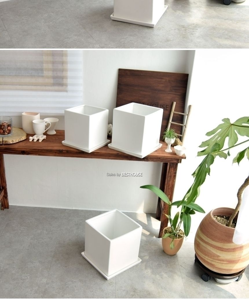 모던 도기화분 화이트 무광 정사각 D25 25x25x28cm/화분/정원용품/홈가드닝용품/가드닝용품/가정용화분/식