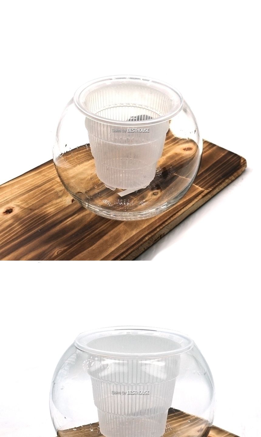 수경재배 난재배용 유리화병 볼 14x15cm+슬릭포트/화병/예쁜화병/디자인화병/인테리어화병/원예용품/꽃병/