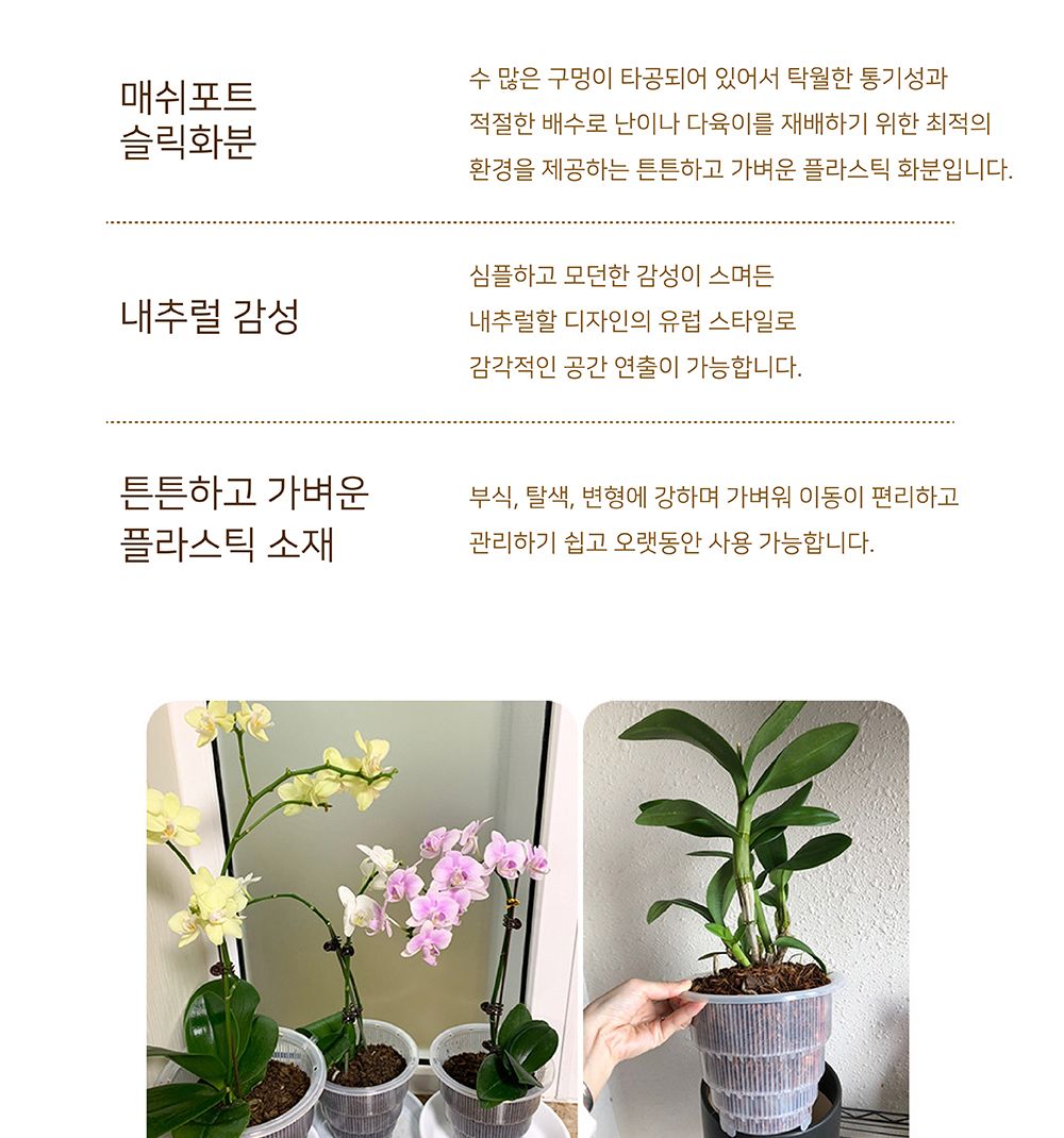 매쉬포트 슬릭화분 난재배용 플라스틱 타공 화분 12.5cm