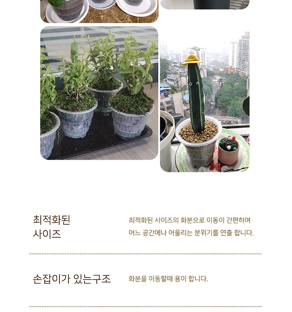매쉬포트 슬릭화분 난재배용 플라스틱 타공 화분 12.5cm