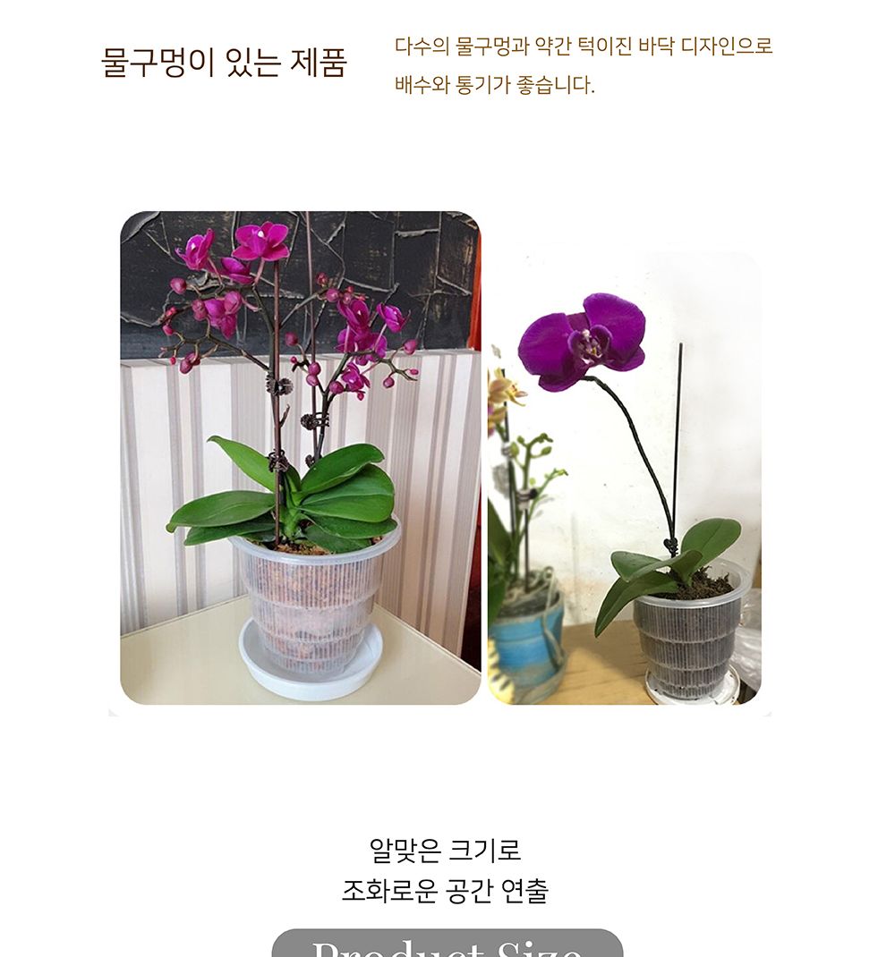 매쉬포트 슬릭화분 난재배용 플라스틱 타공 화분 12.5cm
