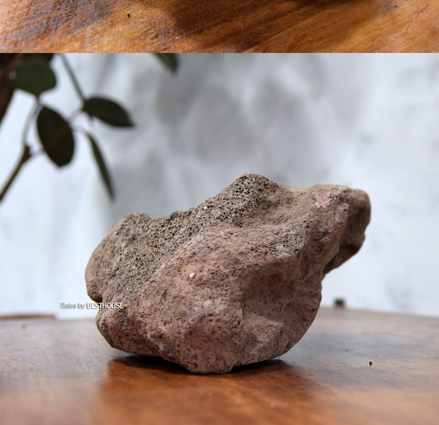 석부작용 화산석 (2호.중) 약 15cm/화분/정원용품/홈가드닝용품/분재화분/분재용화분/낮은화분/낮은분재화