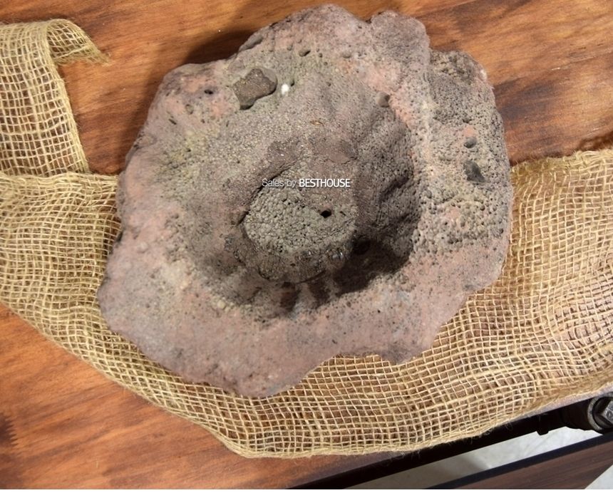 석부작용 화산석 (3호.대) 약 25cm/화분/정원용품/홈가드닝용품/분재화분/분재용화분/낮은화분/낮은분재화