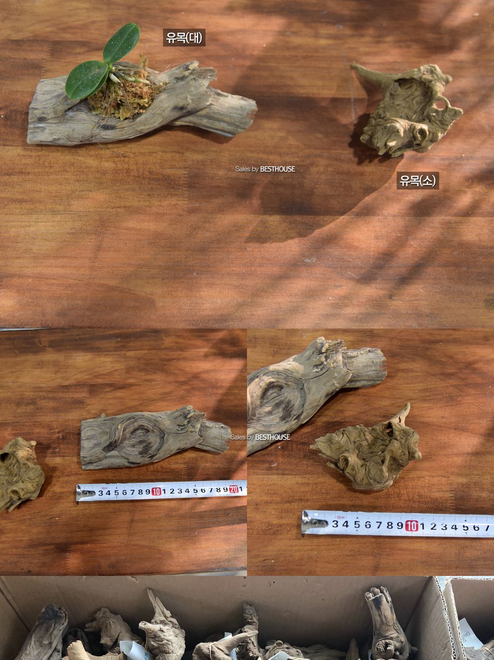 (유목(소)) 목부작 유목 모음 행잉유목/행잉유목/유목/행잉/목부작유목/목부착유목/목부착행잉유목/식물/나