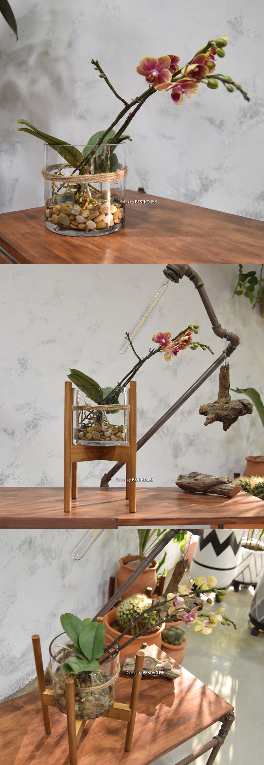 유리화분 화병 수반 SH15x15 (정원형)/수반/화병/인테리어수반/인테리어화병/디자인수반/디자인화병/꽃병/