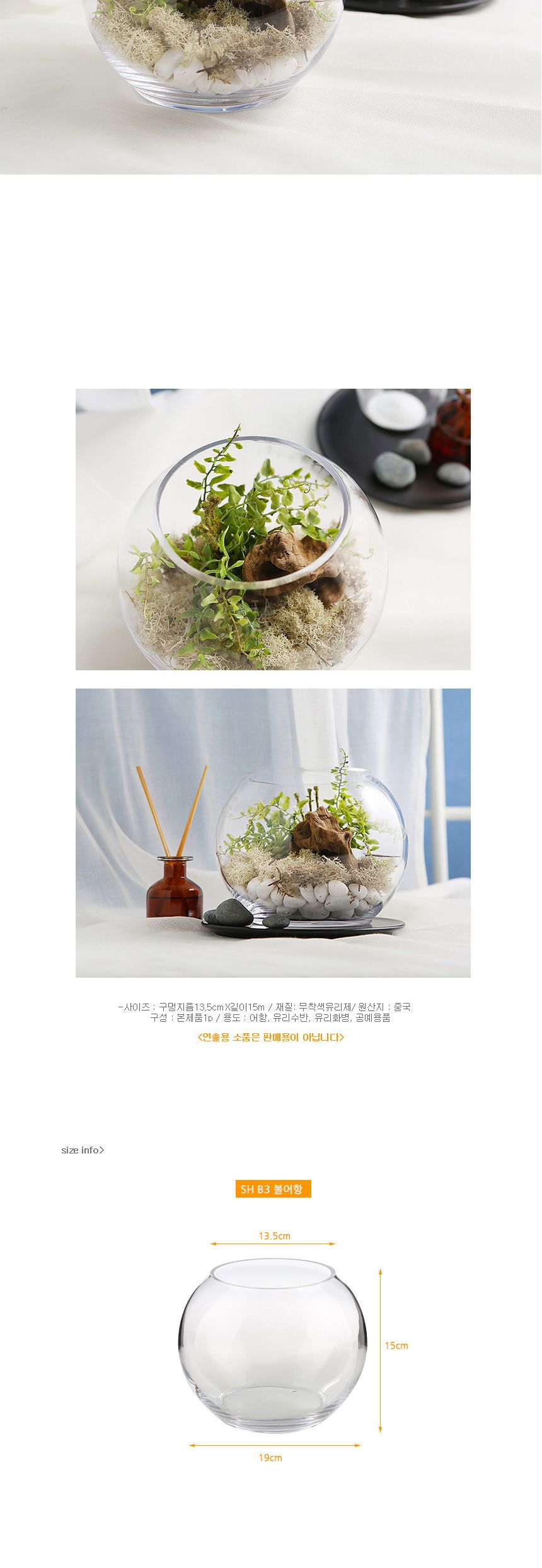 유리화분 화병 수반 SH15x15 (정원형)/수반/화병/인테리어수반/인테리어화병/디자인수반/디자인화병/꽃병/