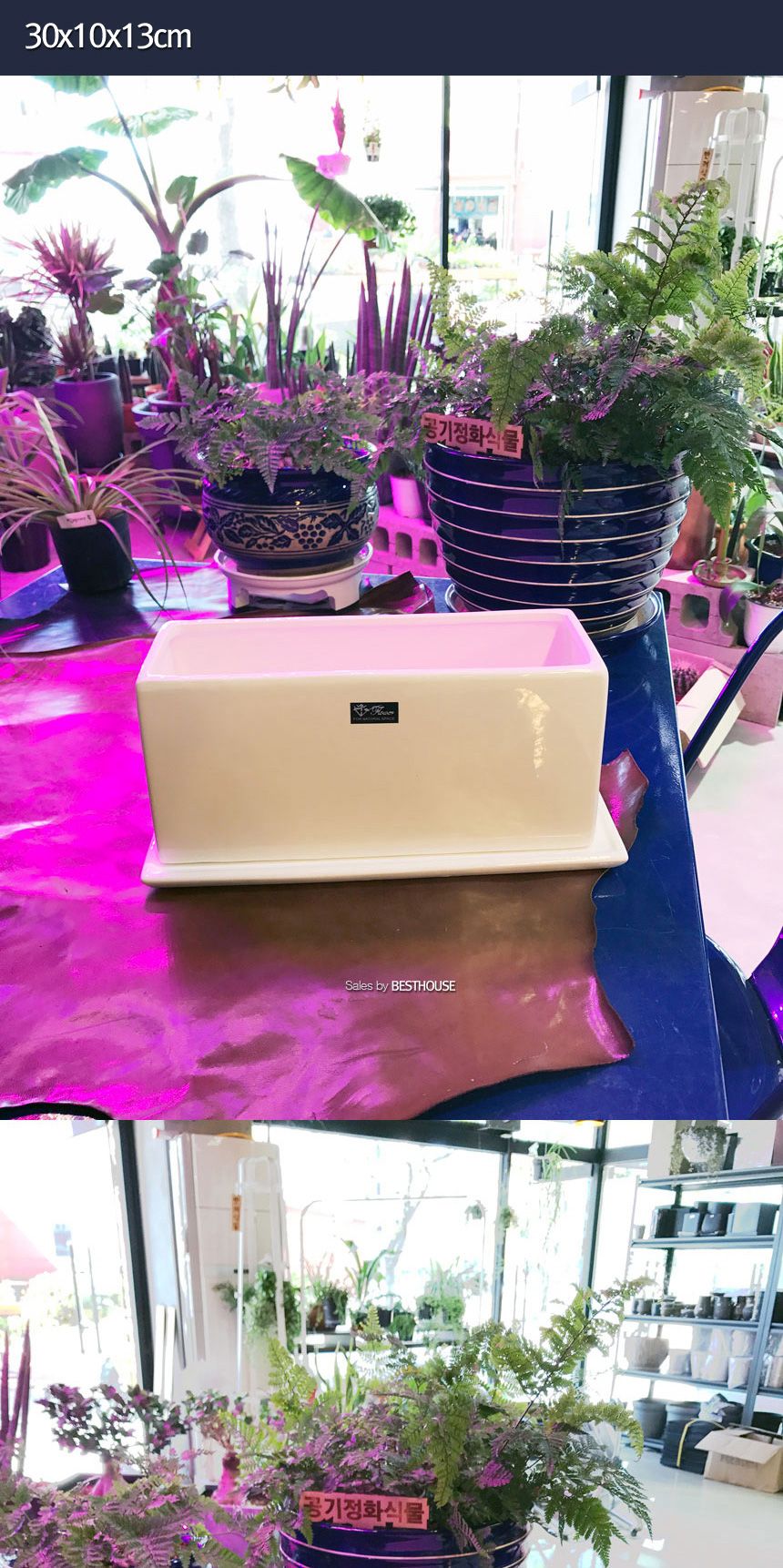 (30x10x13cm 화이트 (유광)) 모던 도기화분 옆이 넓은 직사각 모음/화분/정원용품/홈가드닝용품/가드닝용품