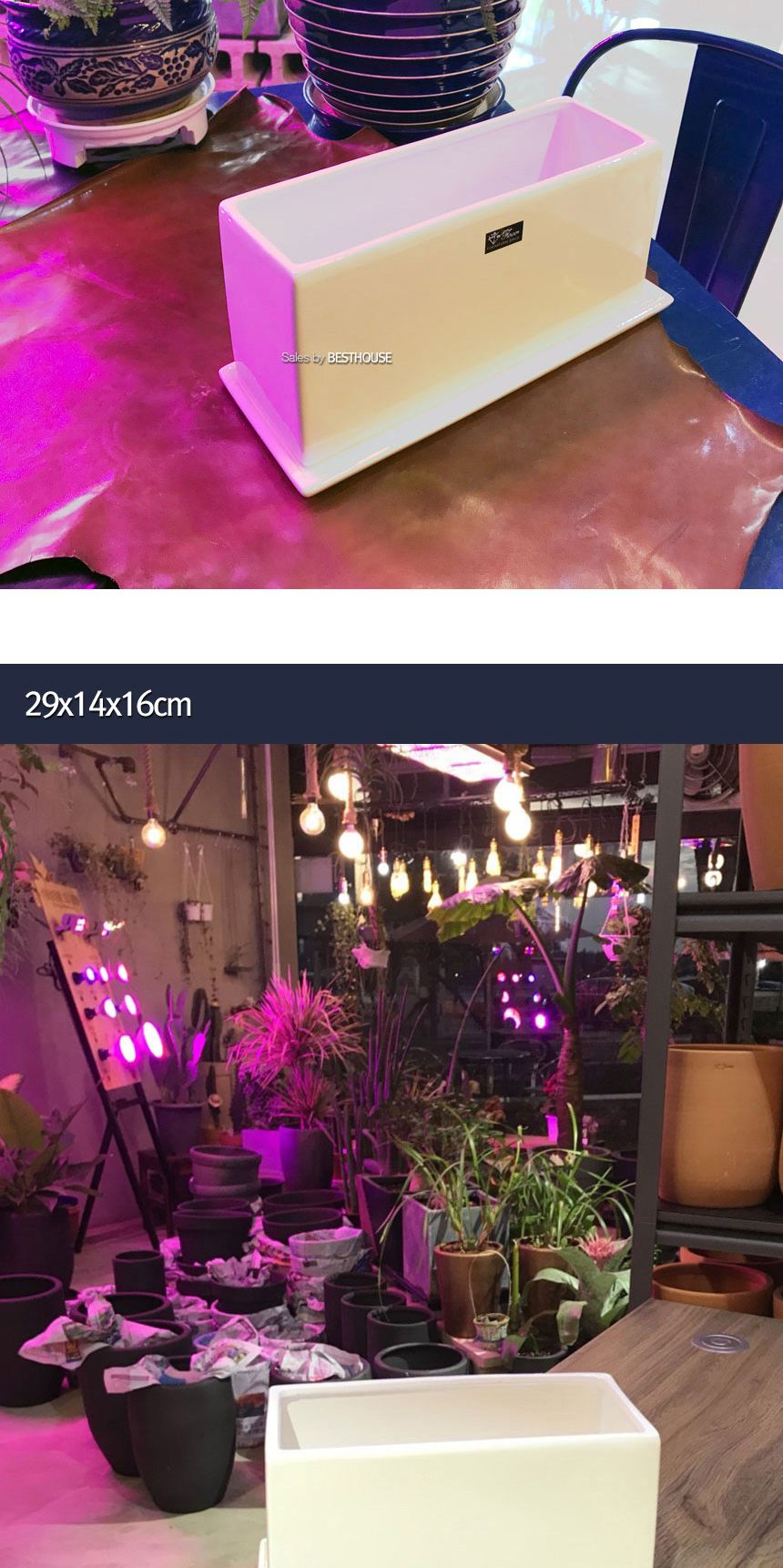 (30x10x13cm 화이트 (유광)) 모던 도기화분 옆이 넓은 직사각 모음/화분/정원용품/홈가드닝용품/가드닝용품