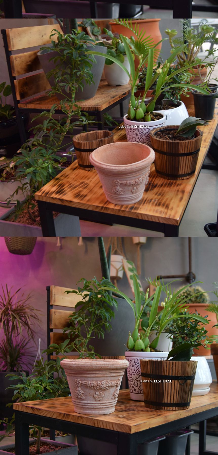 이탈리아 명품 수제토분VLFI415 E20 20x16cm/화분/토기화분/도기화분/흙화분/주물럭화분/예쁜화분/옹기화분