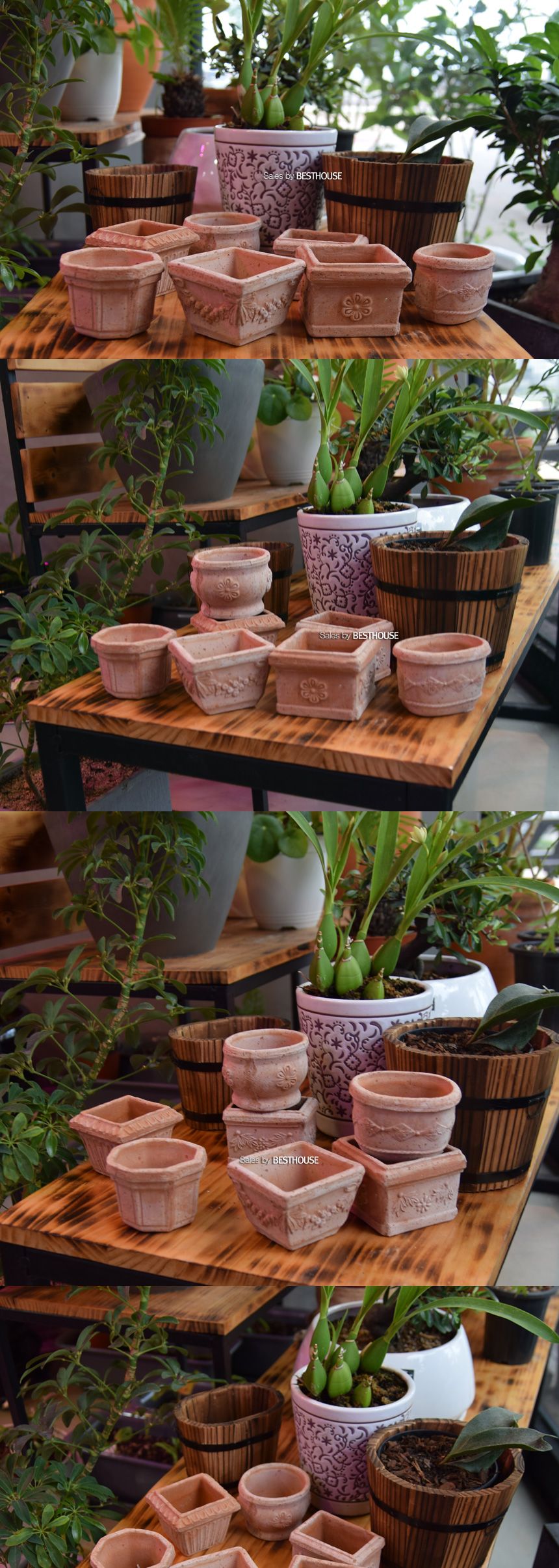 (물구멍 o(단순변심불가)) 이탈리아 명품 수제토분미니 다육이 BPI108-05 8x6cm/화분/토기화분/도기화분/흙