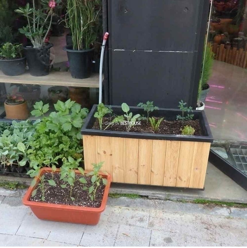 베란다 텃밭용 방부목화분.내부고무화분 82x40x45cm/화분/베란다화분/텃밭화분/텃밭용화분/사각화분/식물화