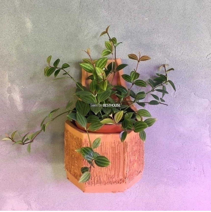 벽걸이용 육각 토분 화분 14x22cm (와인걸이)/벽걸이화분/토분화분/육각화분/벽걸이와인걸이/와인꽂이/화분