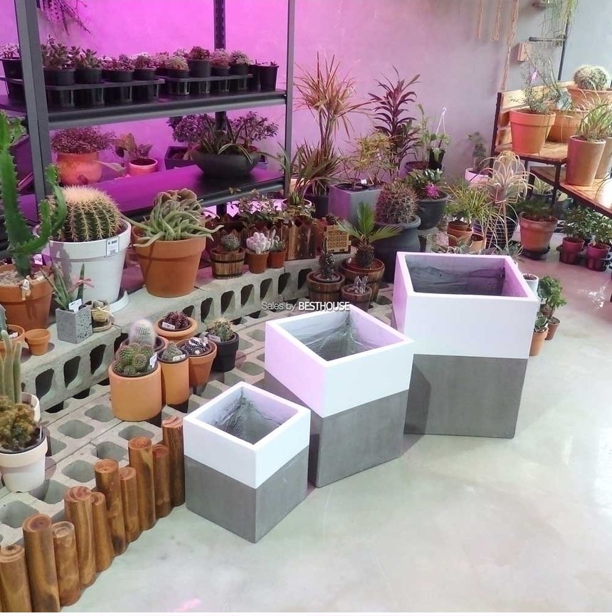 (골드 투톤) 3개셋모던 시멘트화분 초대형 긴사각 C3L01 24x24x30 32x32x40 40x40x50cm/모던화분/모던사각