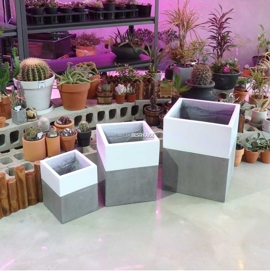 (골드 투톤) 3개셋모던 시멘트화분 초대형 긴사각 C3L01 24x24x30 32x32x40 40x40x50cm/모던화분/모던사각