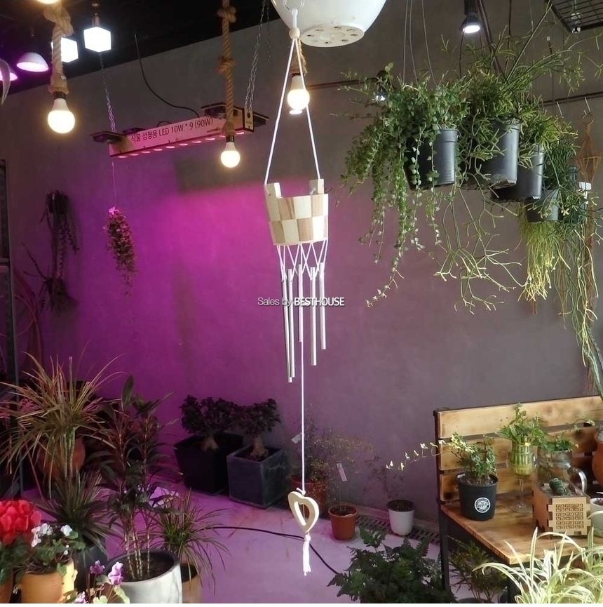 풍경 일체형 우드 다육이 화분 7.5cm 나무풍경화분/미니화분/화분/옹기화분/옹기미니화분/다육화분/다육미