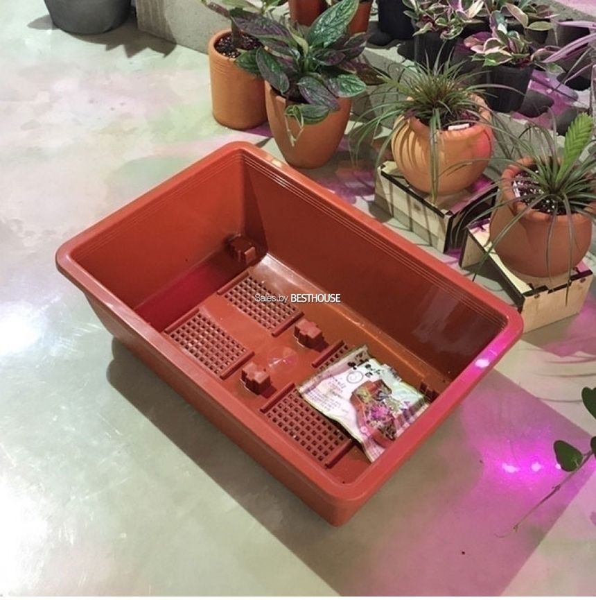 베란다 텃밭용 플라스틱 화분 직사각(바퀴이동형)1호(50x32cm)/화분/네모화분/사각화분/모던사각화분/예쁜