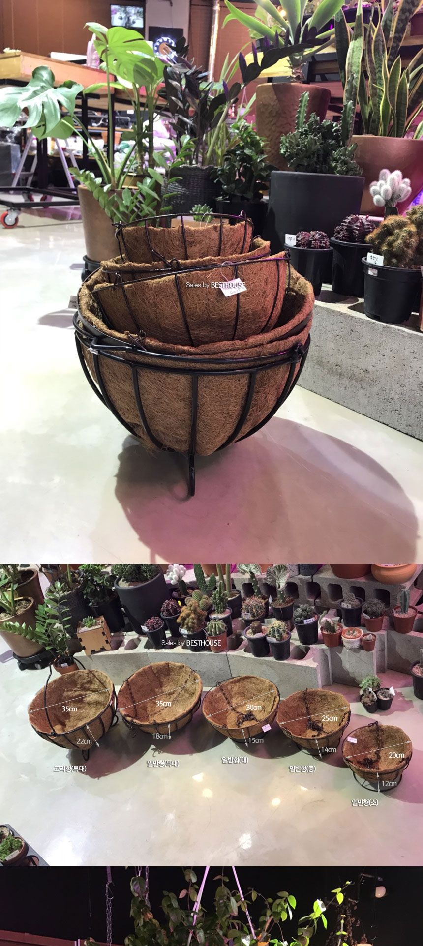 공중걸이 행잉 바구니 원형 일반형(중) 25cm 코코넛 야자/행잉화분/바구니화분/걸이식화분/공중부양화분/공