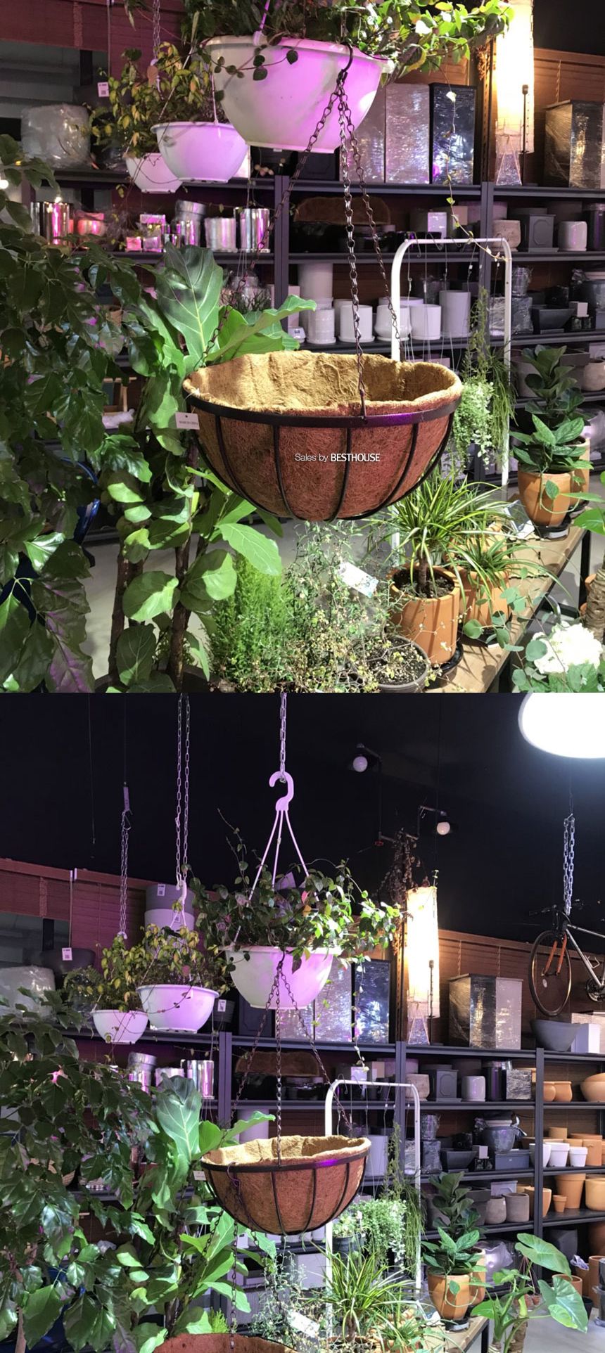 공중걸이 행잉 바구니 원형 일반형(중) 25cm 코코넛 야자/행잉화분/바구니화분/걸이식화분/공중부양화분/공