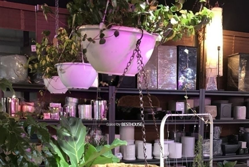 공중걸이 행잉 바구니 원형 일반형(중) 25cm 코코넛 야자/행잉화분/바구니화분/걸이식화분/공중부양화분/공