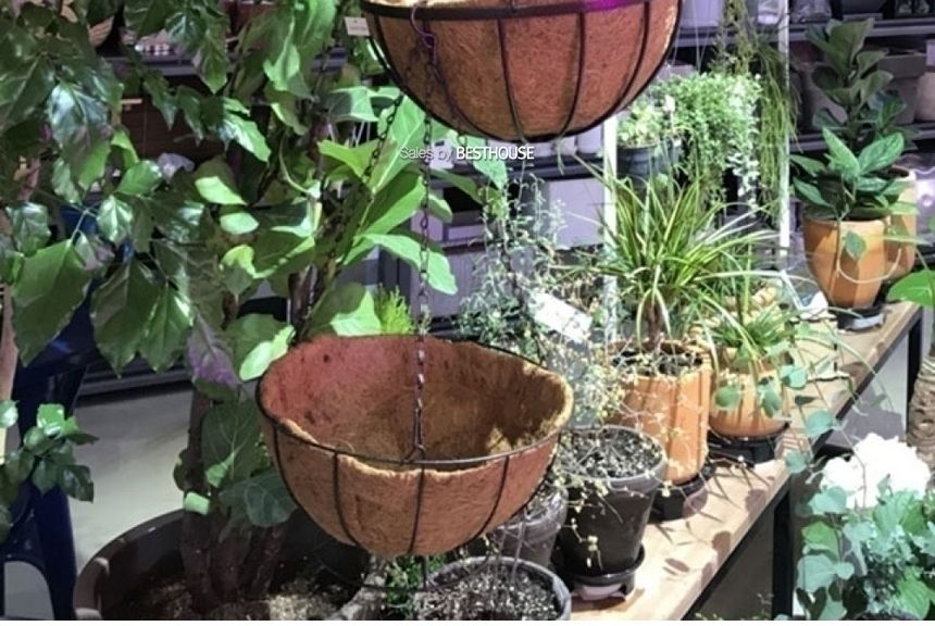 공중걸이 행잉 바구니 원형 일반형(중) 25cm 코코넛 야자/행잉화분/바구니화분/걸이식화분/공중부양화분/공