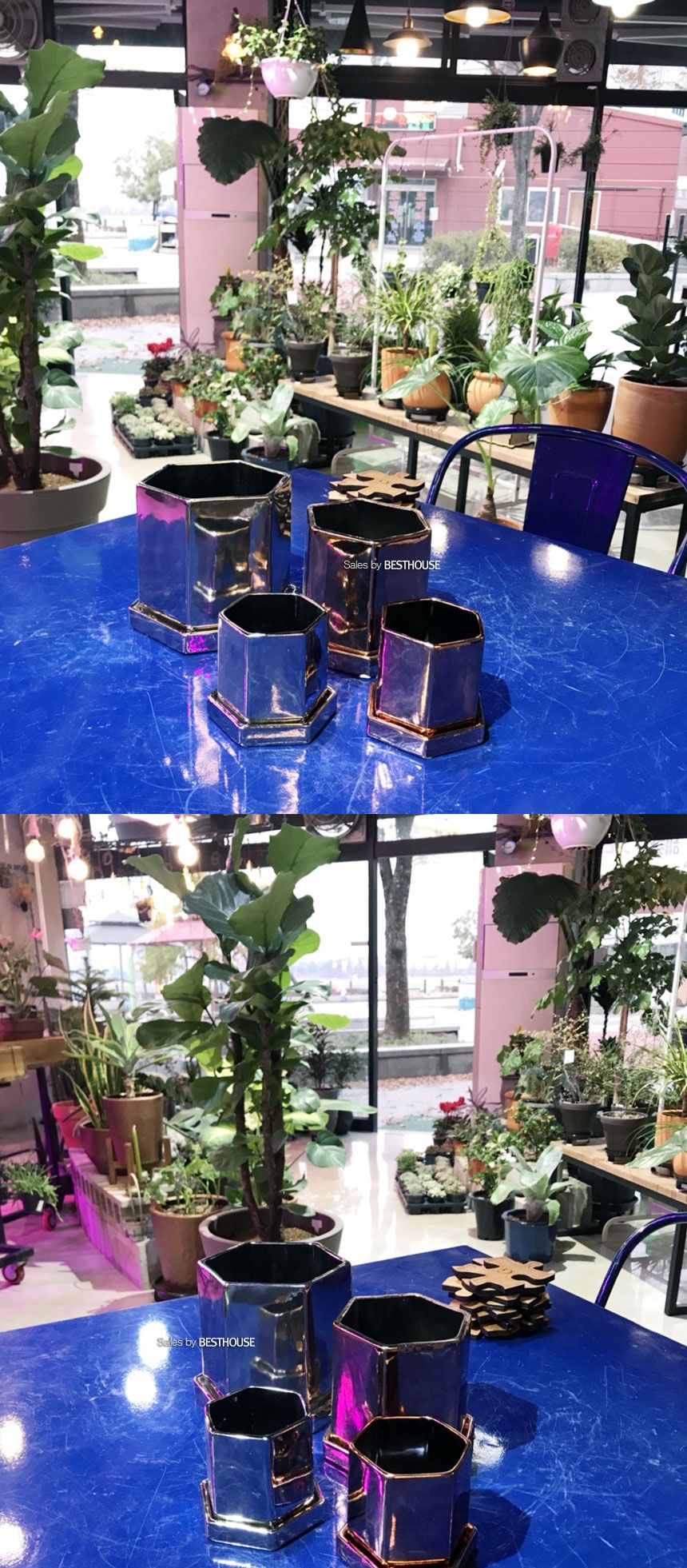 (골드) 모던 도기화분 육각 11x11cm/화분/심플화분/예쁜화분/감성화분/화분선물/모던화분/선물용화분/원형