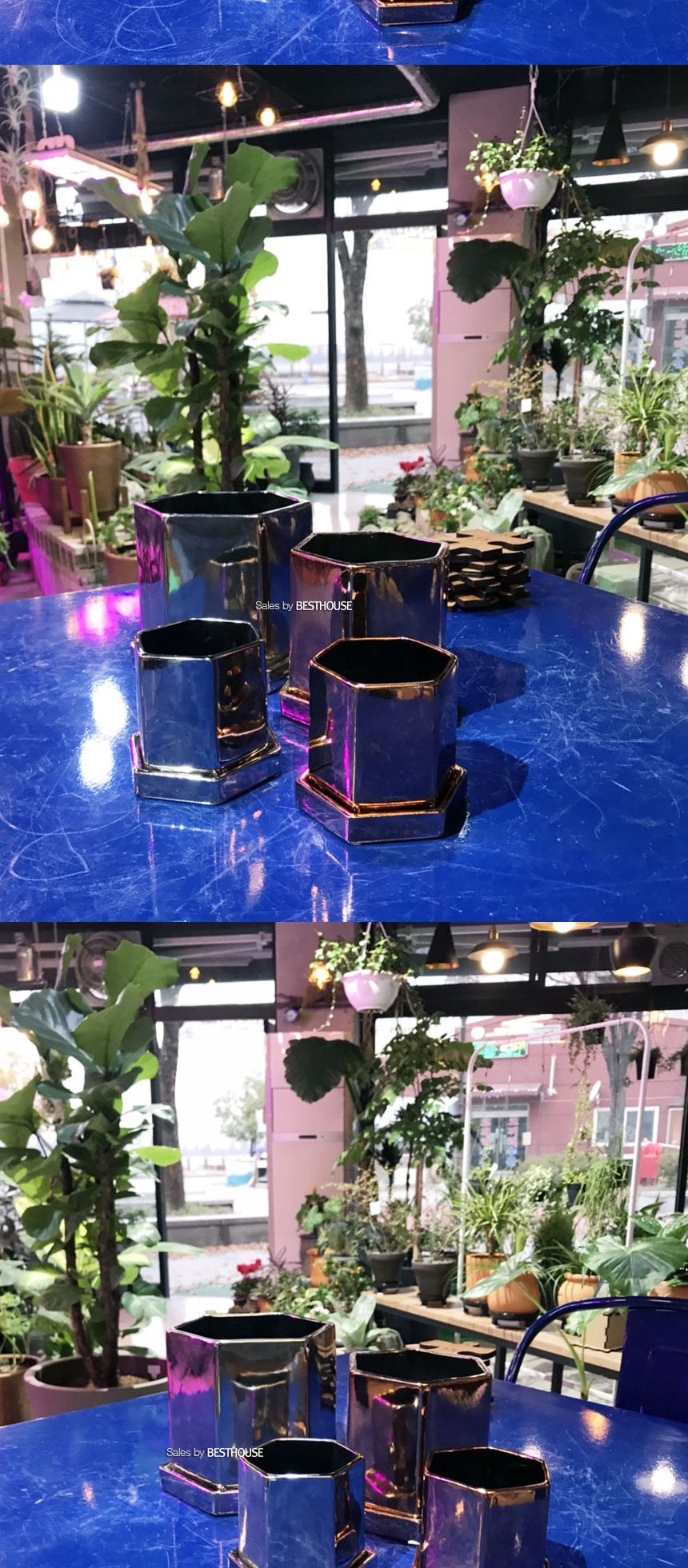 (골드) 모던 도기화분 육각 11x11cm/화분/심플화분/예쁜화분/감성화분/화분선물/모던화분/선물용화분/원형