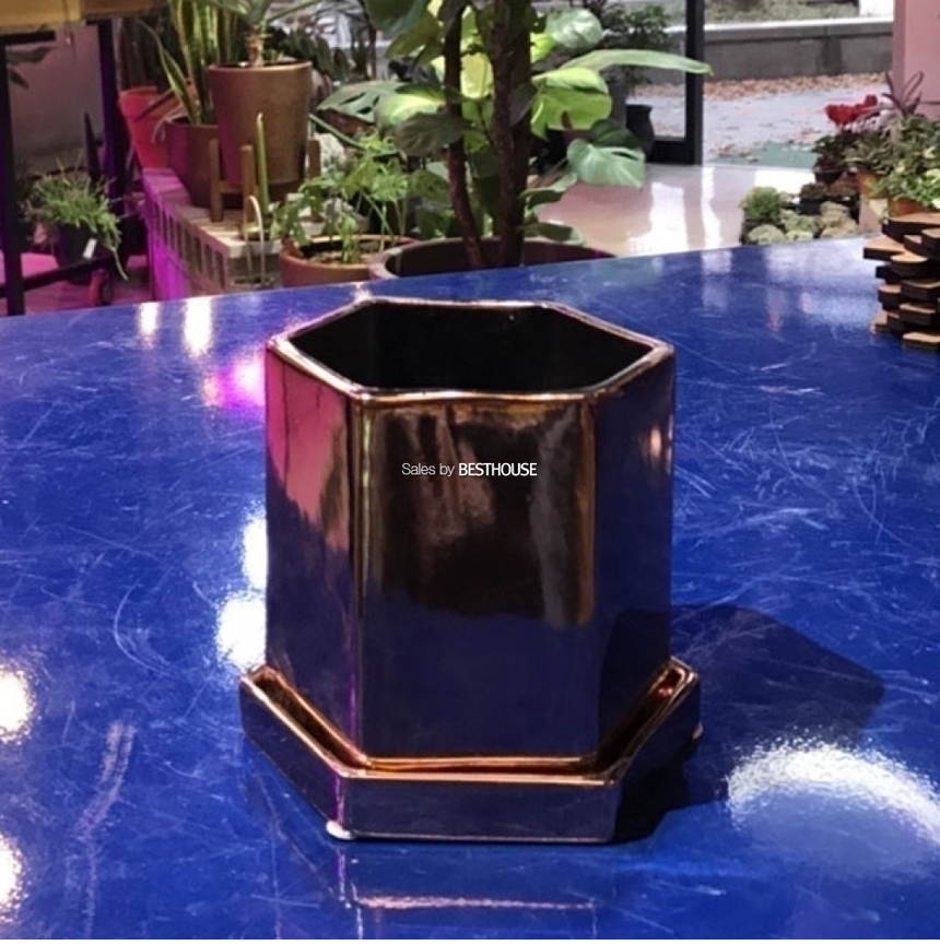(골드) 모던 도기화분 육각 11x11cm/화분/심플화분/예쁜화분/감성화분/화분선물/모던화분/선물용화분/원형