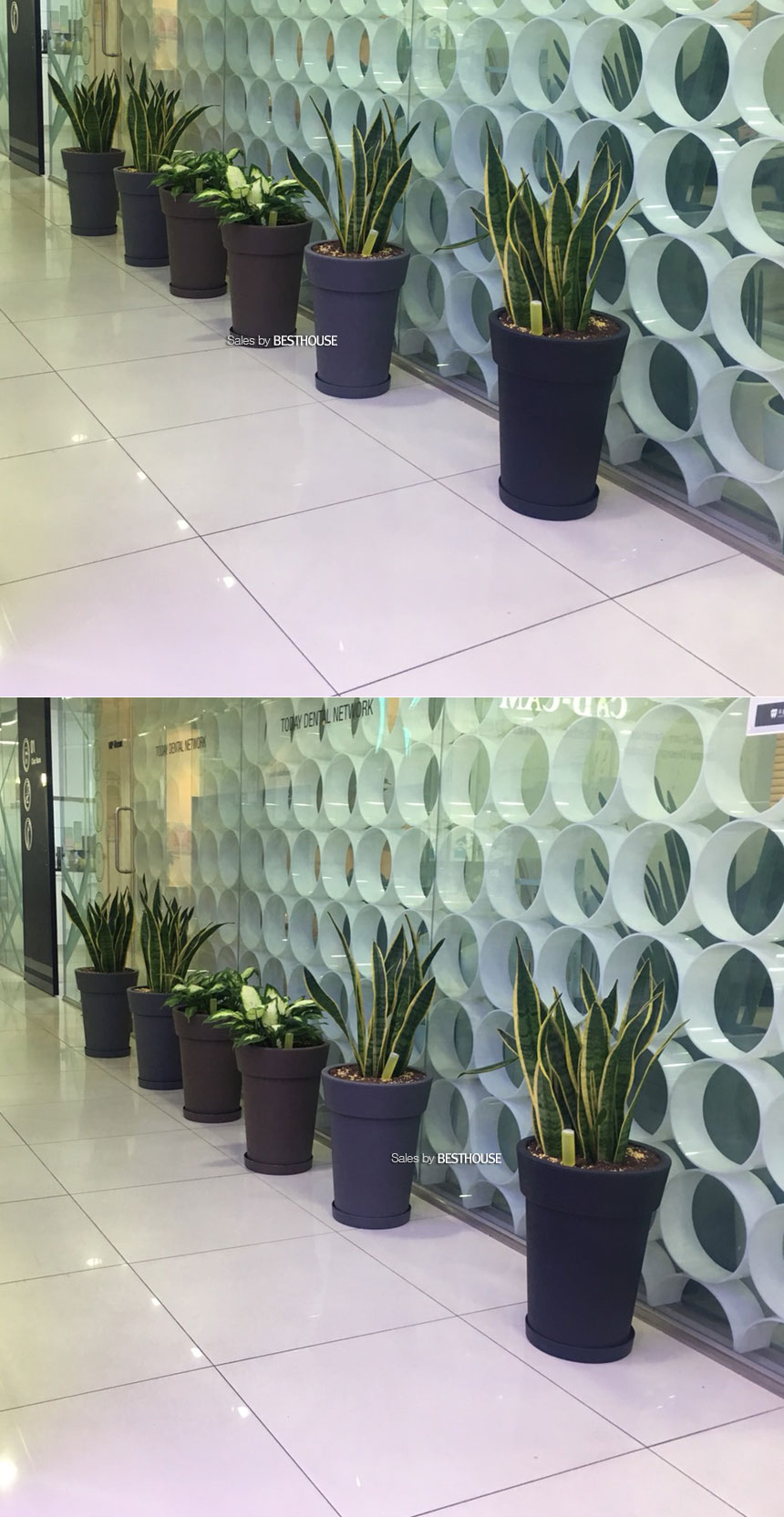 (화이트) 대형 플라스틱 화분 롱화분 유니크 긴원형 32x43cm/꽃화분/화초화분/디자인화분/인테리어화분/화