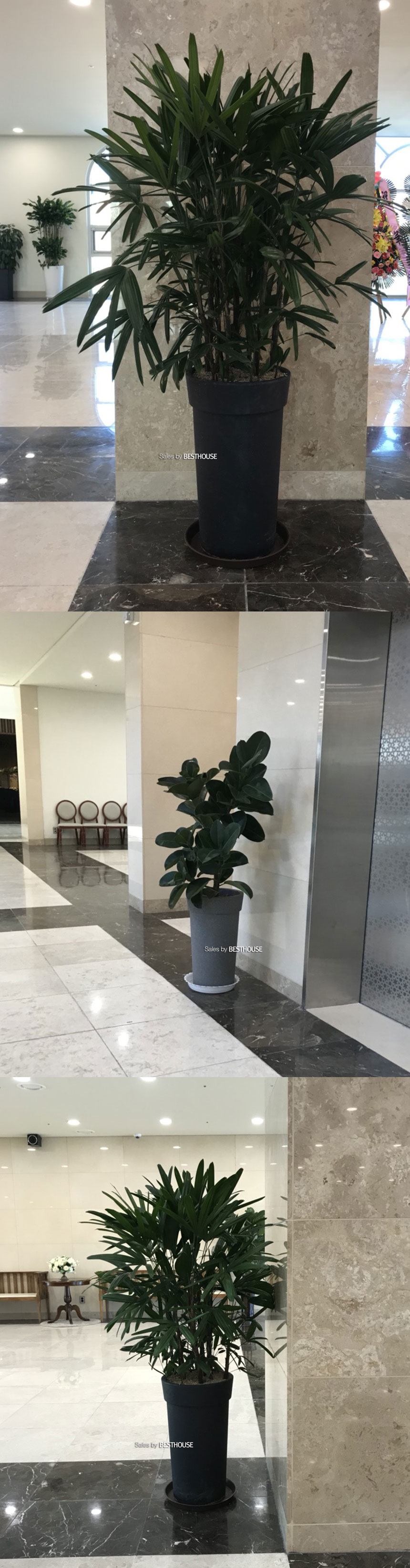 (그레이) 대형 플라스틱 화분 롱화분 유니크 긴원형 35x60cm/화분/예쁜원형화분/예쁜화분/감성화분/수공화