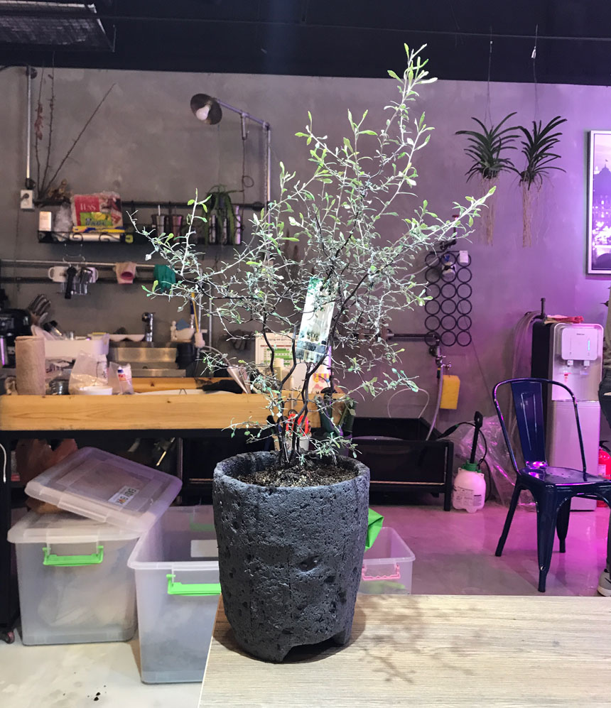 화산석 화분 기본원형 17x18cm/화분/주물럭화분/예쁜화분/감성화분/수공화분/디자인화분/인테리어화분/심플