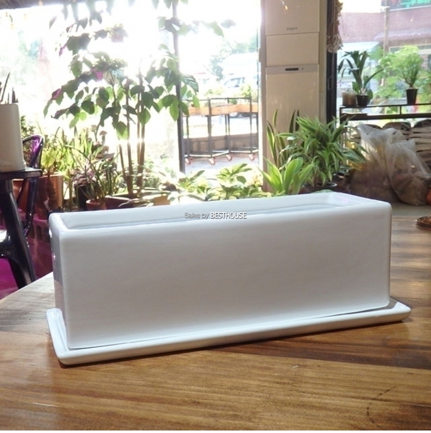 모던 유광 도기화분 화이트 옆이 넓은 직사각 30x10x10cm
