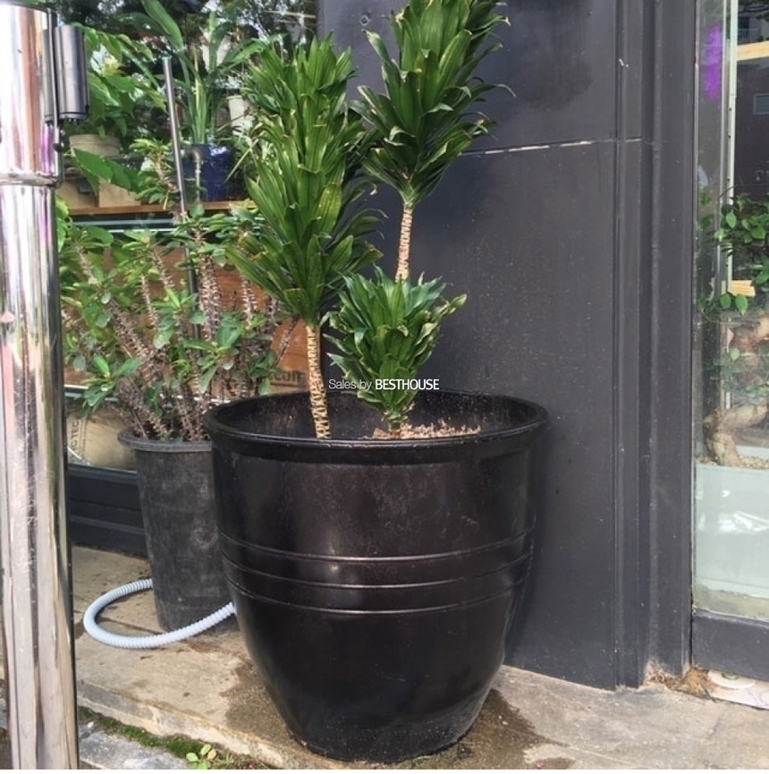 슈퍼싸이즈 수지 장독대형(대형) 50x48cm 큰화분/화분/토기화분/도기화분/흙화분/주물럭화분/예쁜화분/옹기