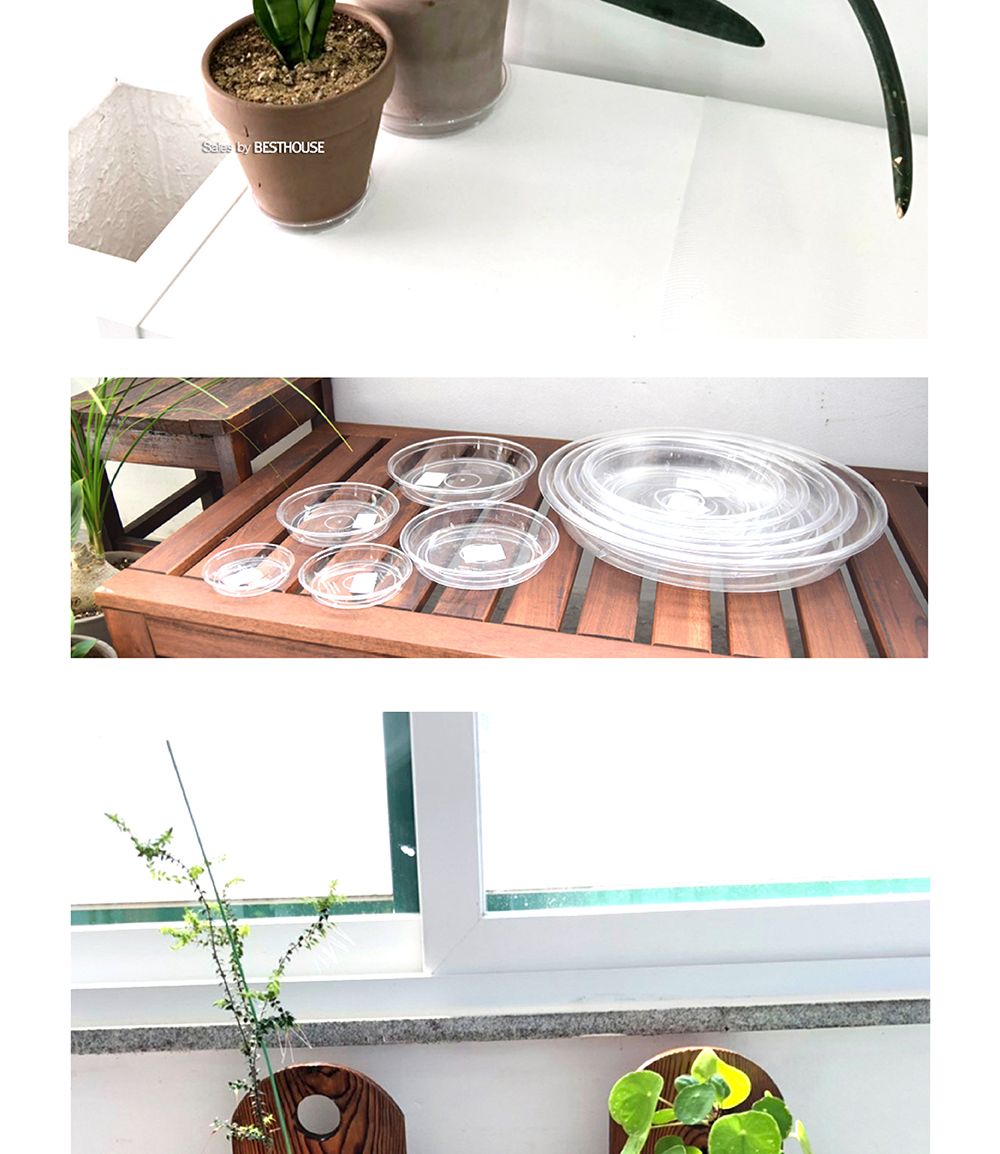 ARTEVASI 투명 동그라미 (4호) 내경155mm 외경180mm 화분받침대 투명받침대 투명화분받침대 모던화분받침대 물받침대 화분물받침대 원형화분받침 원형화분받침대 화분대 화분받침 화분받침대 플라스틱화분받침 플라스틱화분받침대 화분 심플화분받침