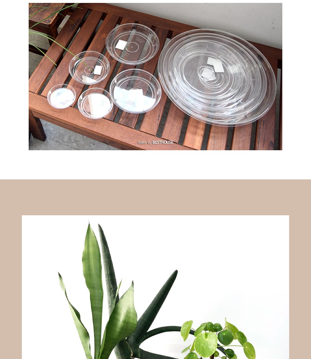 ARTEVASI 투명 동그라미 (4호) 내경155mm 외경180mm 화분받침대 투명받침대 투명화분받침대 모던화분받침대 물받침대 화분물받침대 원형화분받침 원형화분받침대 화분대 화분받침 화분받침대 플라스틱화분받침 플라스틱화분받침대 화분 심플화분받침